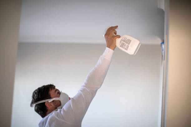 Best Emergency Mold Removal  in Pleasant Hill, MO