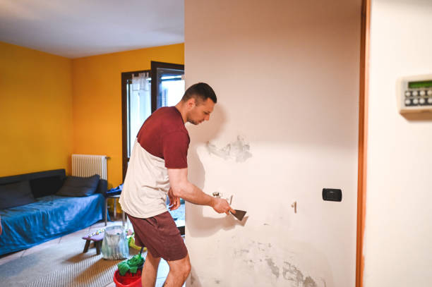 Office Mold Removal Services in Pleasant Hill, MO